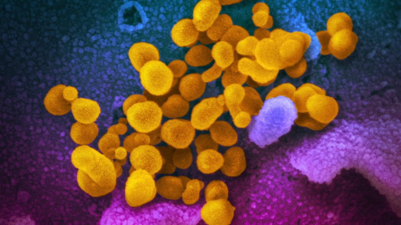 1 in 10 Adults Experience Long COVID Symptoms After Omicron, Study Shows