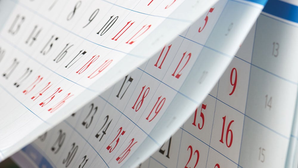 "AI Stocks Nvidia and Marvell Technology Lead Earnings Calendar, Joined by Snowflake and Workday"