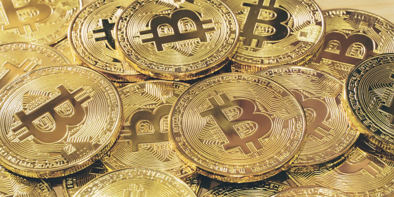 Bitcoin Dominates First Half, but Can it Sustain Growth?