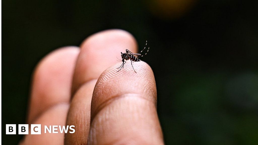 "FDA Approves First Chikungunya Vaccine for US Adults"