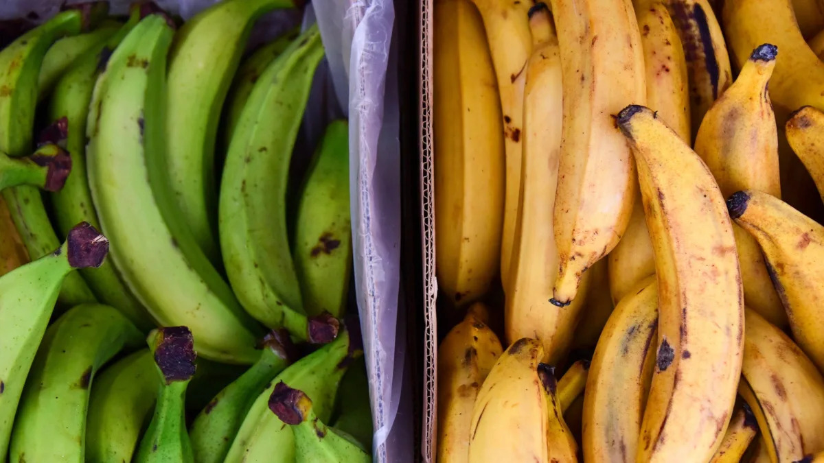 Bananas vs. Plantains: Expert Opinion on Swapping Them Out