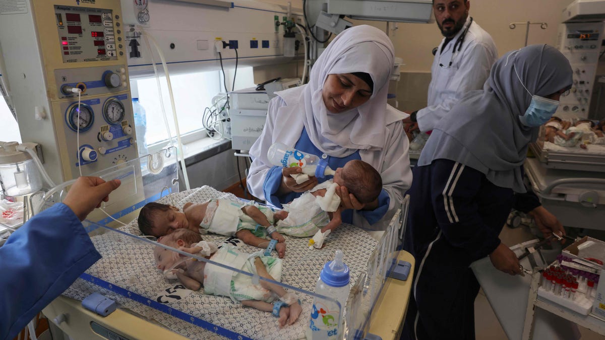 "Miraculous Rescue: 31 Babies Saved from Gaza Hospital Amid Israel-Hamas Conflict"