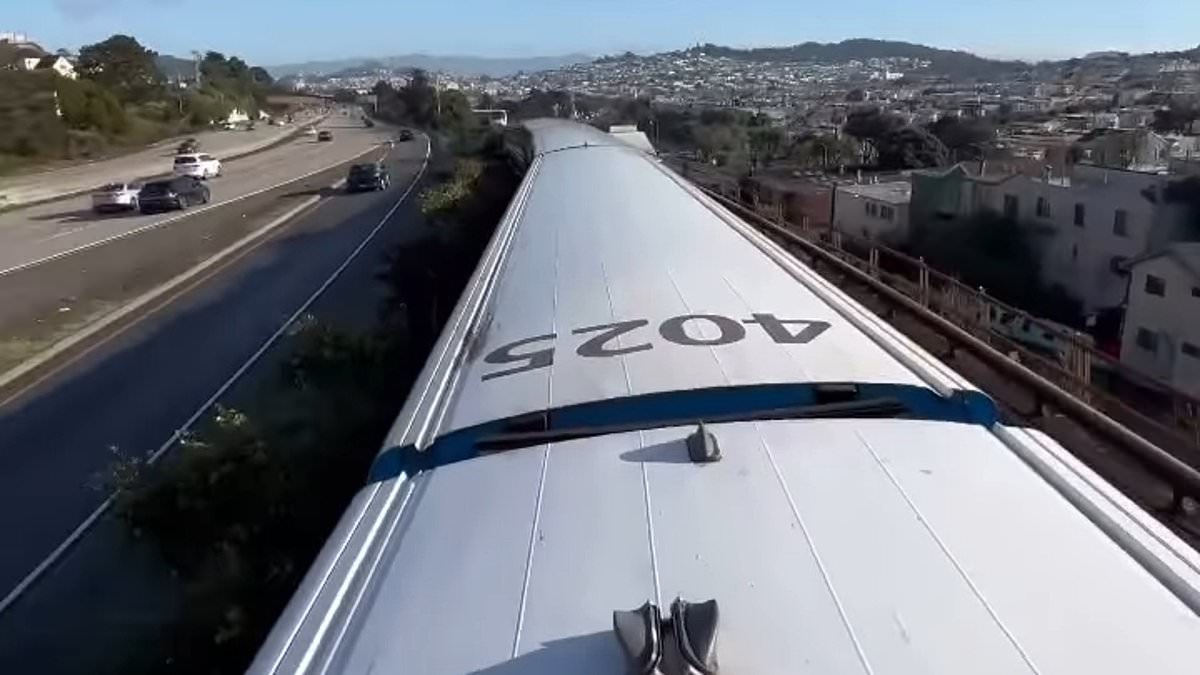 "Fatal Consequences: The Deadly Trend of Train Surfing Among San Francisco Teens"