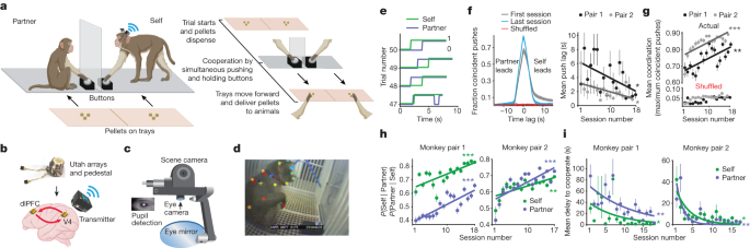 Featured image for "Social Learning in Freely Moving Macaques: Visuo-frontal Interactions"