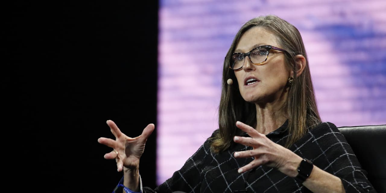 Cathie Wood shifts focus from Nvidia to AI growth stocks.