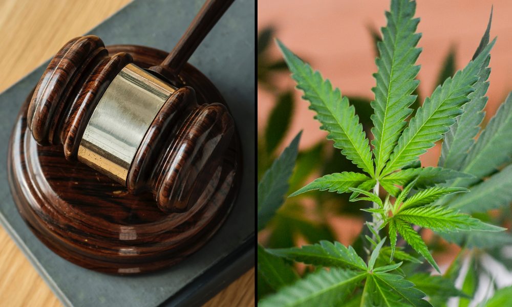Marijuana Companies Challenge Federal Prohibition in Landmark Lawsuit