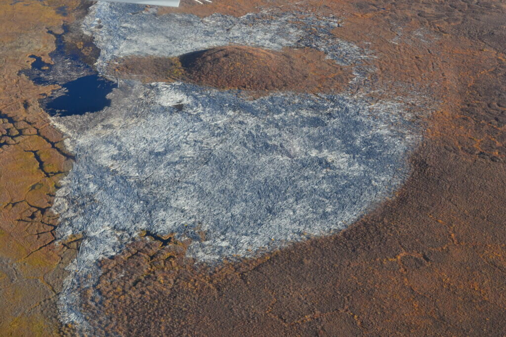 Arctic's Massive Logjam Holds 3.4 Million Tons of Carbon