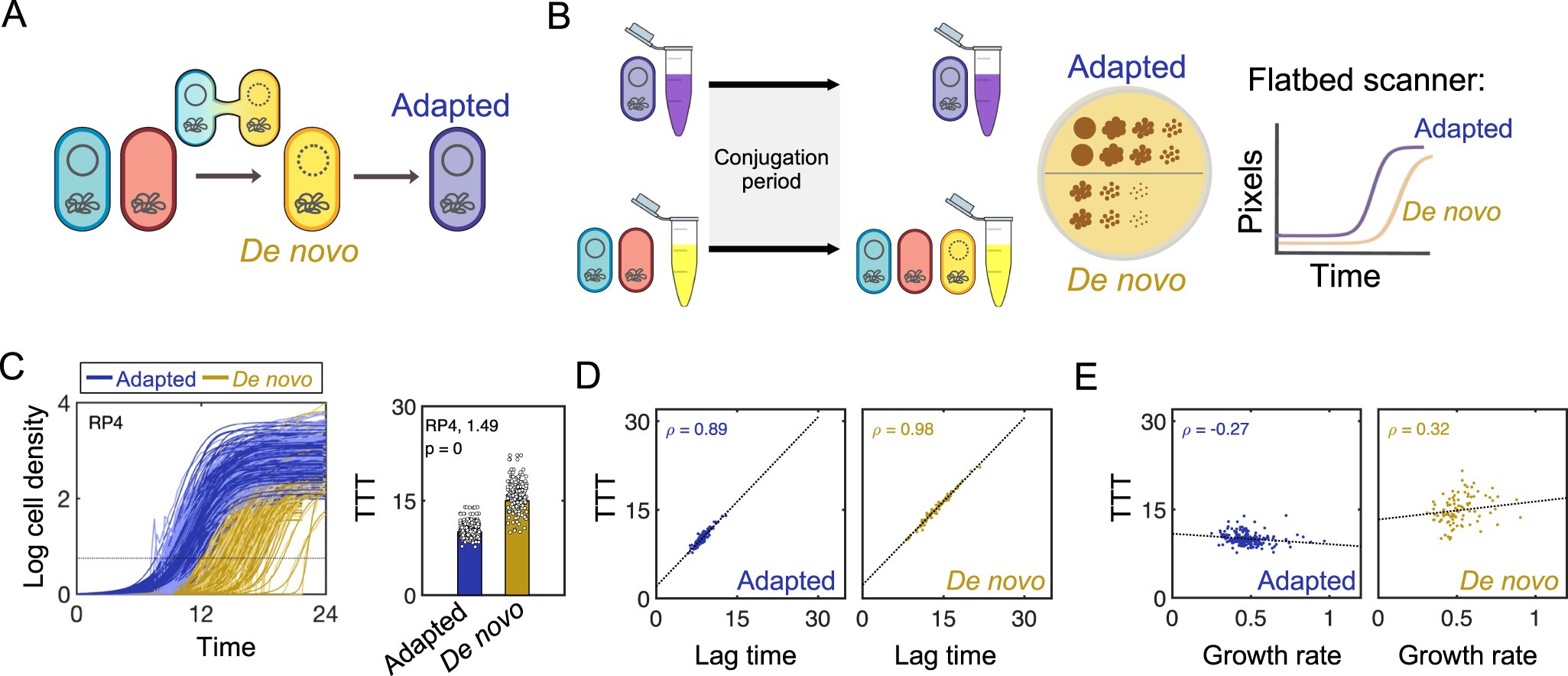 Featured image for "Bacterial Gene Spread Takes Unexpected Turn, Scientists Find"