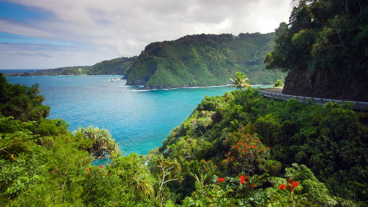 American Airlines Expands Domestic Network with New ORD and LAX Routes