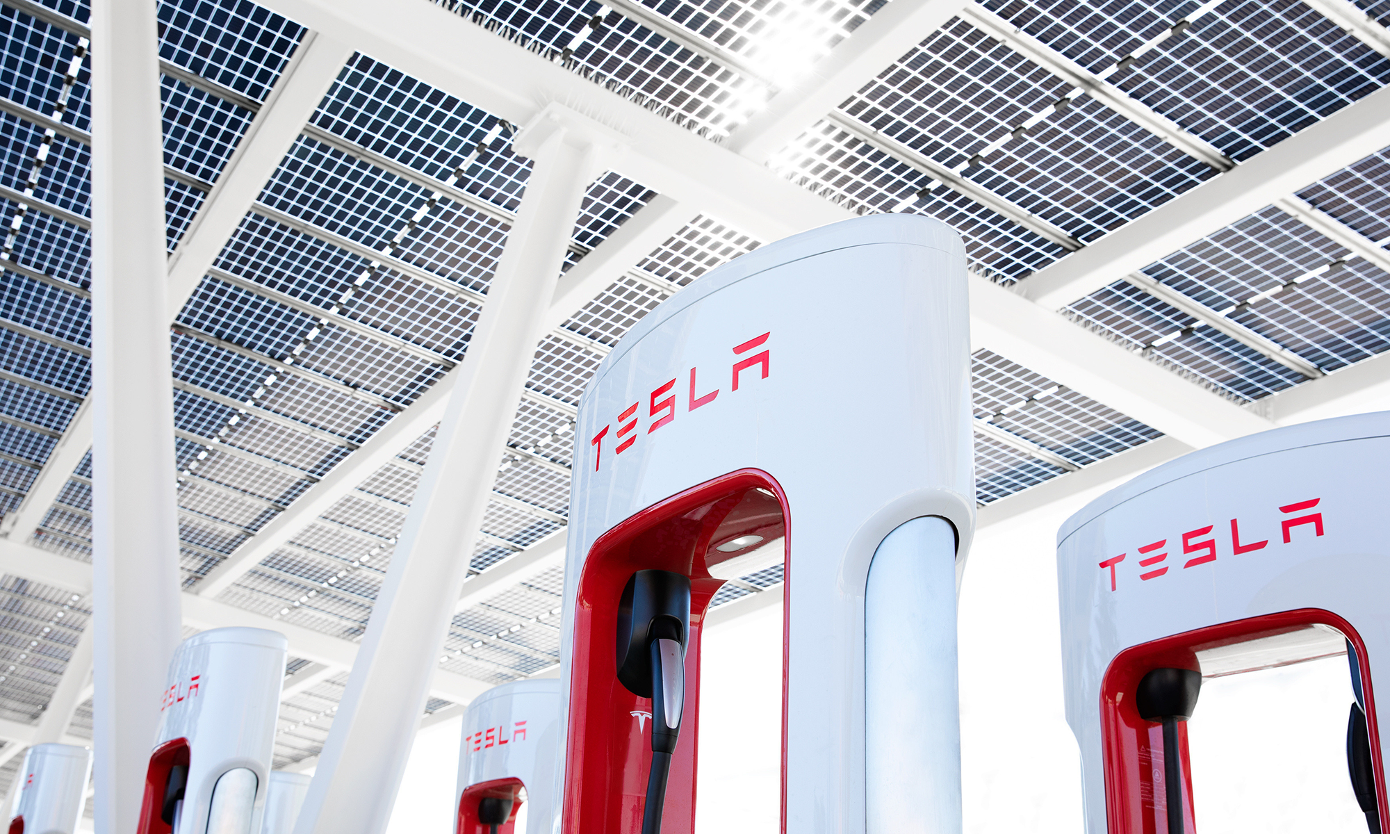 Tesla Stock Investors Brace for a Sharp Decline