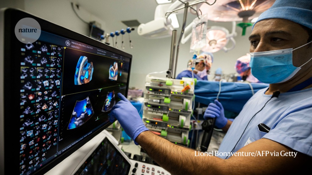 Featured image for The Potential and Pitfalls of AI in Healthcare