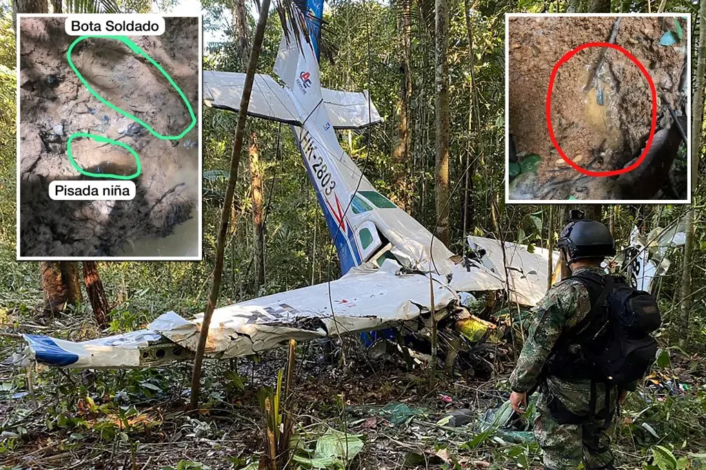 New evidence brings hope in search for missing children after Colombian jungle plane crash.