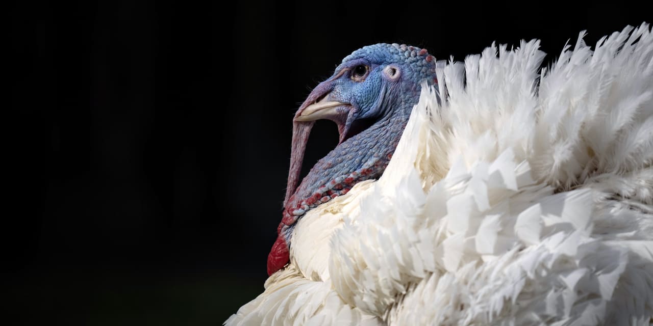 "Trading Hours During Thanksgiving and Black Friday: A Guide for Investors"