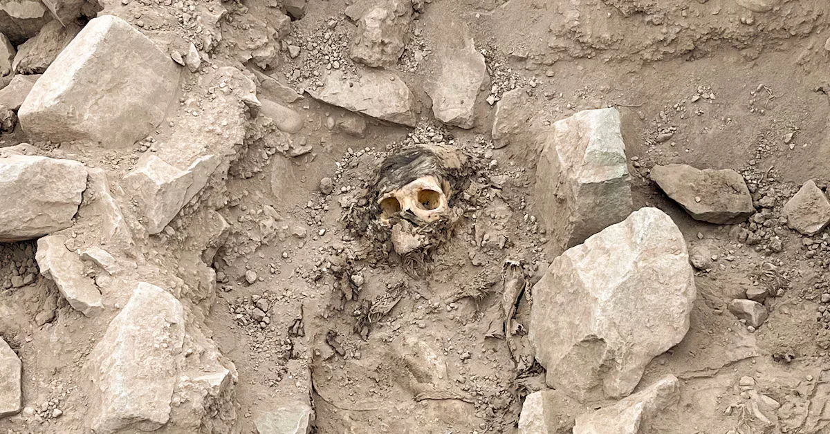 Featured image for 3000-year-old mummy discovered in Lima, Peru by archaeologists and students.