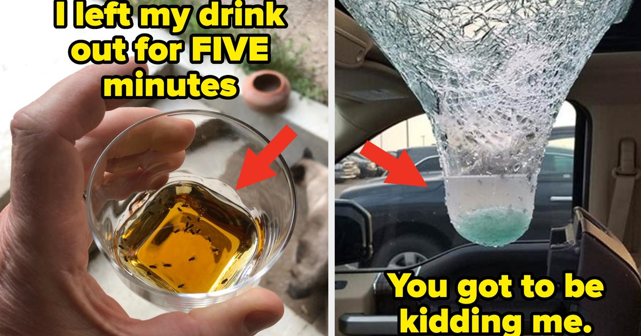 Featured image for 23 People Who Learned the Hard Way About Taking Risks