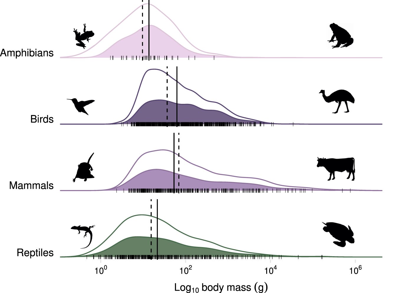 Cats' Ecological Impact: A Global Study Reveals Surprising Prey Diversity