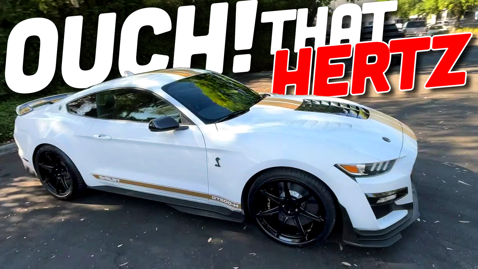 Featured image for Hertz's Pricey Offer for Used Shelby GT500 Mustangs