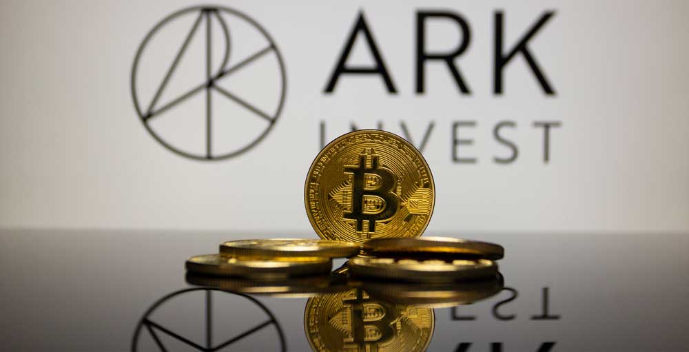 Featured image for Circle's Stock Soars as Stablecoin Gains Continue