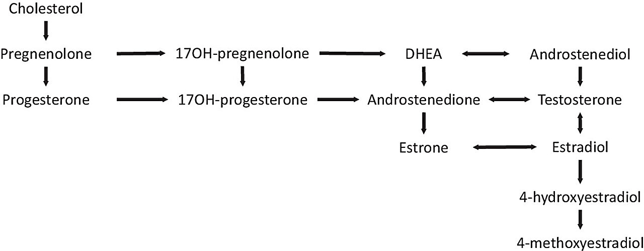 Featured image for PFAS Exposure Linked to Delayed Puberty in Girls