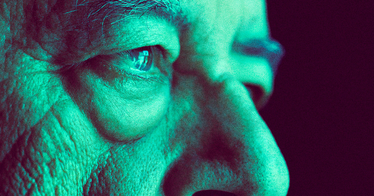 Featured image for "Link Between Talking and Cognitive Decline Uncovered by Scientists"