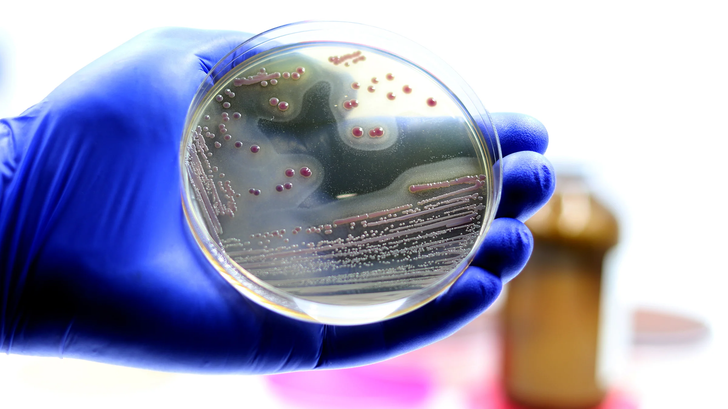 "Revolutionary Vaccine Defeats Hospital Superbugs, Including MRSA"