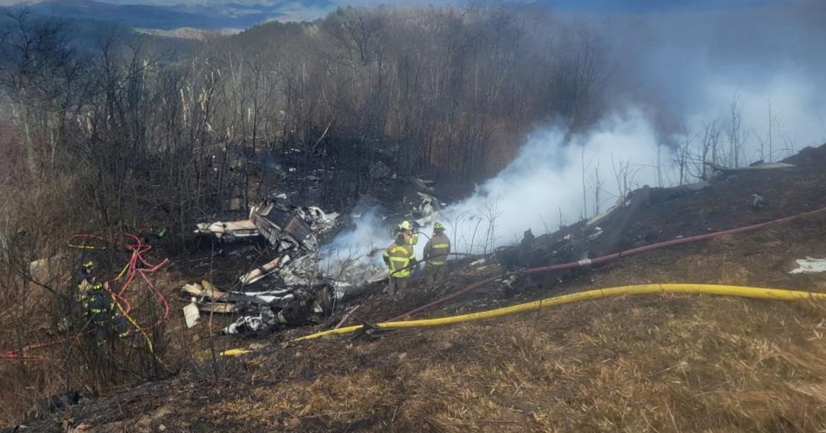 Featured image for Tragic Virginia Plane Crash Claims Five Lives