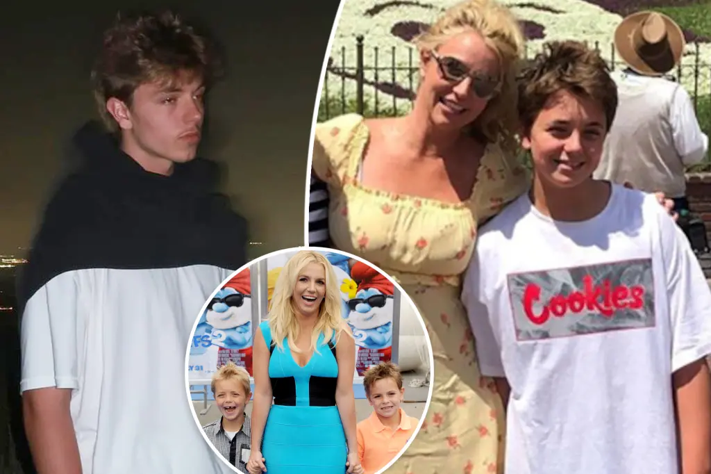 Britney Spears Reunites with Son Jayden After Estrangement