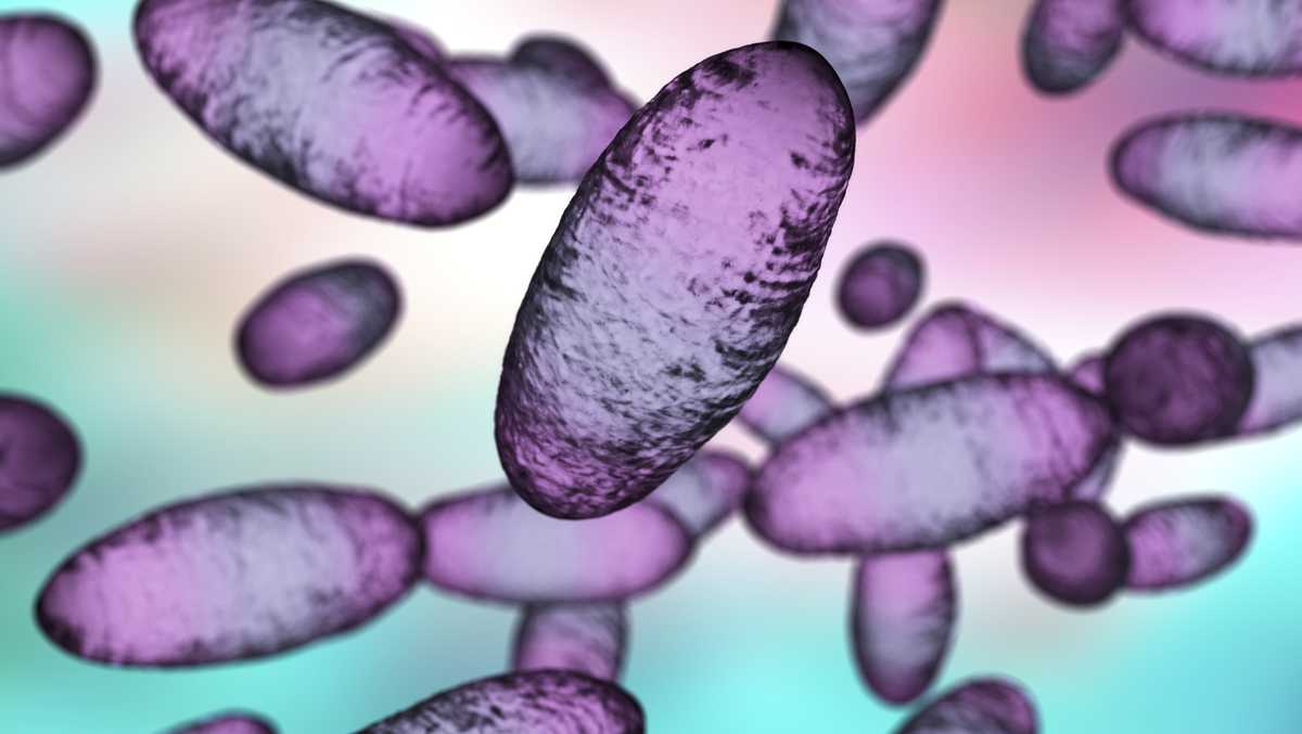 Featured image for "Fatal Human Plague Case Confirmed in New Mexico"