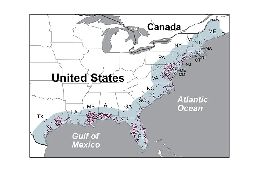 "Rising Vibrio Threat: Scientist Calls for Increased Awareness as Risk Spreads Northward"