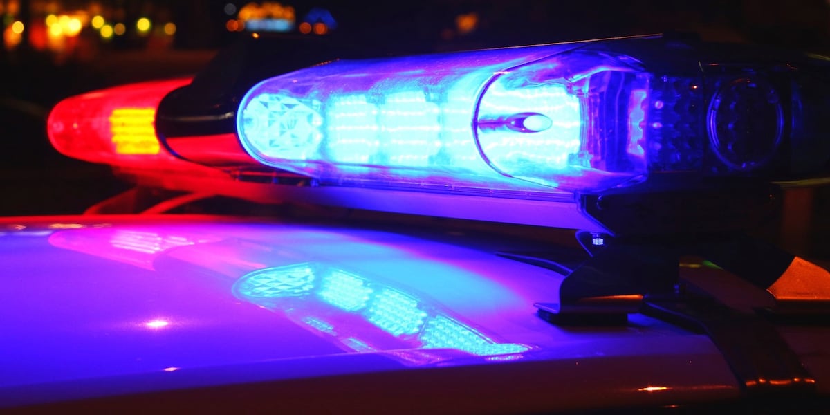 Featured image for "Tragic Deaths as Heater Reaches 1,000 Degrees in South Carolina Home"