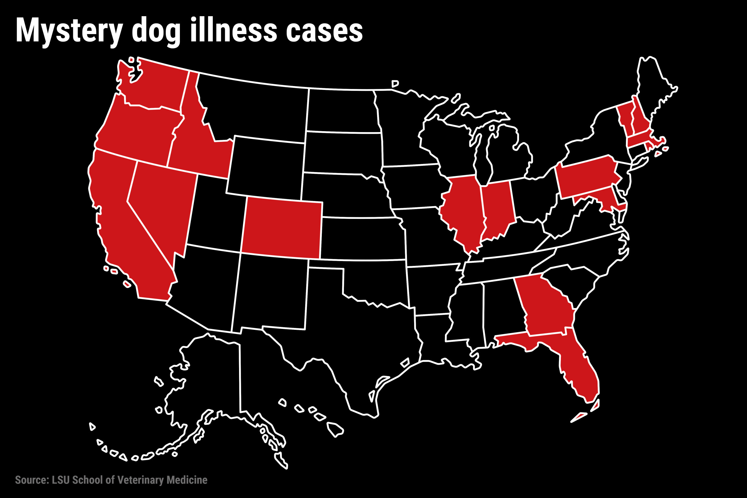 Featured image for "Rapid Spread of Dog Respiratory Illness Raises Concerns Across Multiple States"