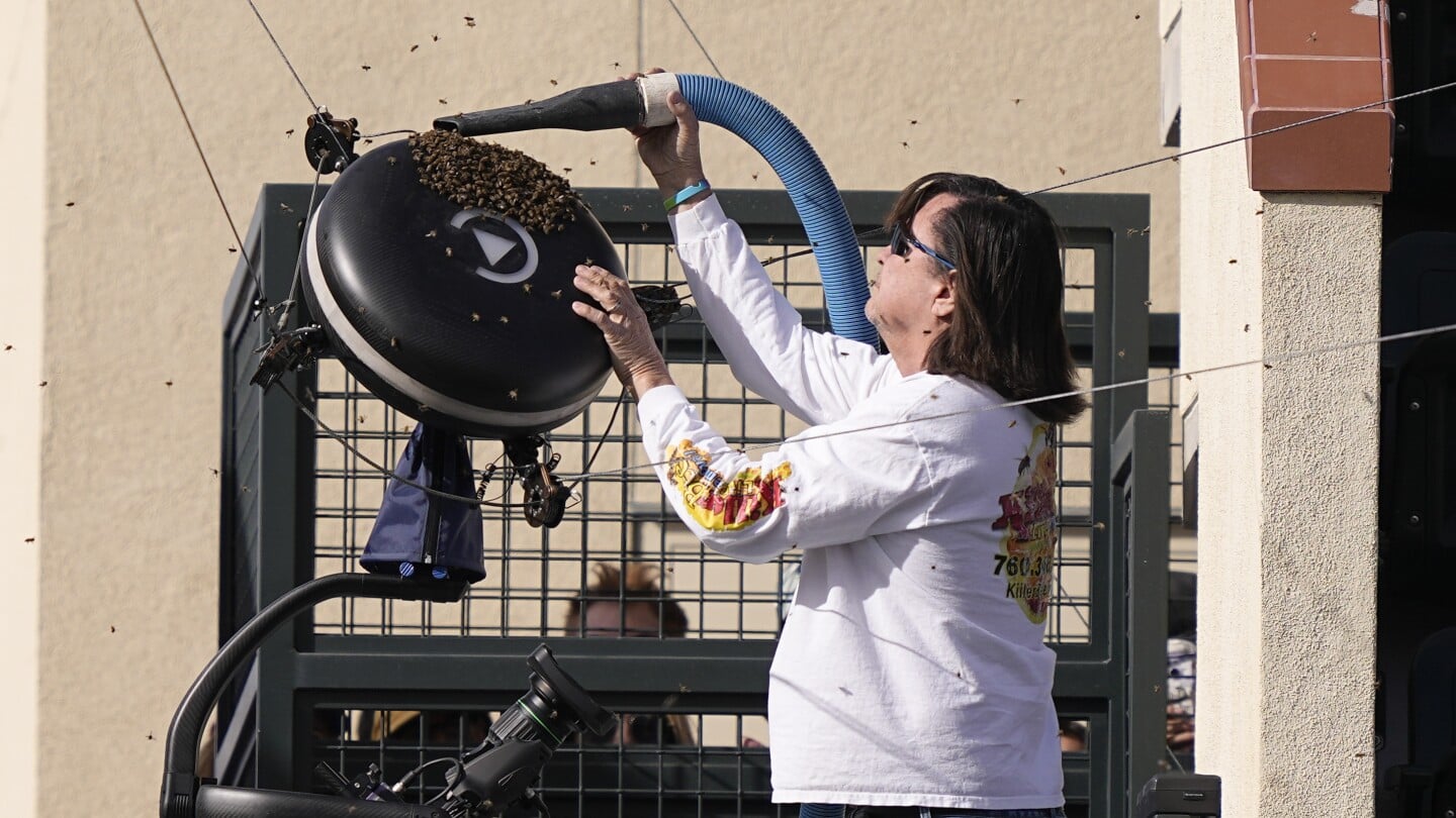 Featured image for "Bee Invasion Halts Indian Wells Tennis Tournament Quarterfinals"