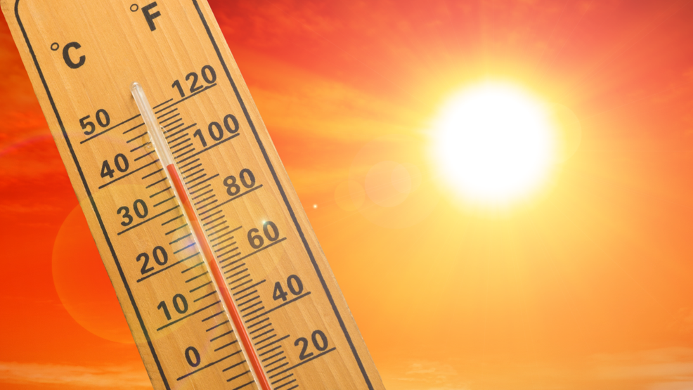 "Beat the Heat: Essential Tips for Staying Safe and Healthy in Summer"