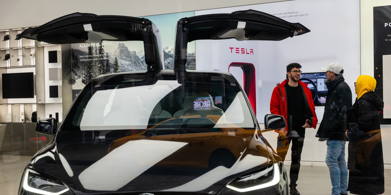 Tesla's Stock Drops as EV Maker Offers New Incentives and Faces Declining China Shipments
