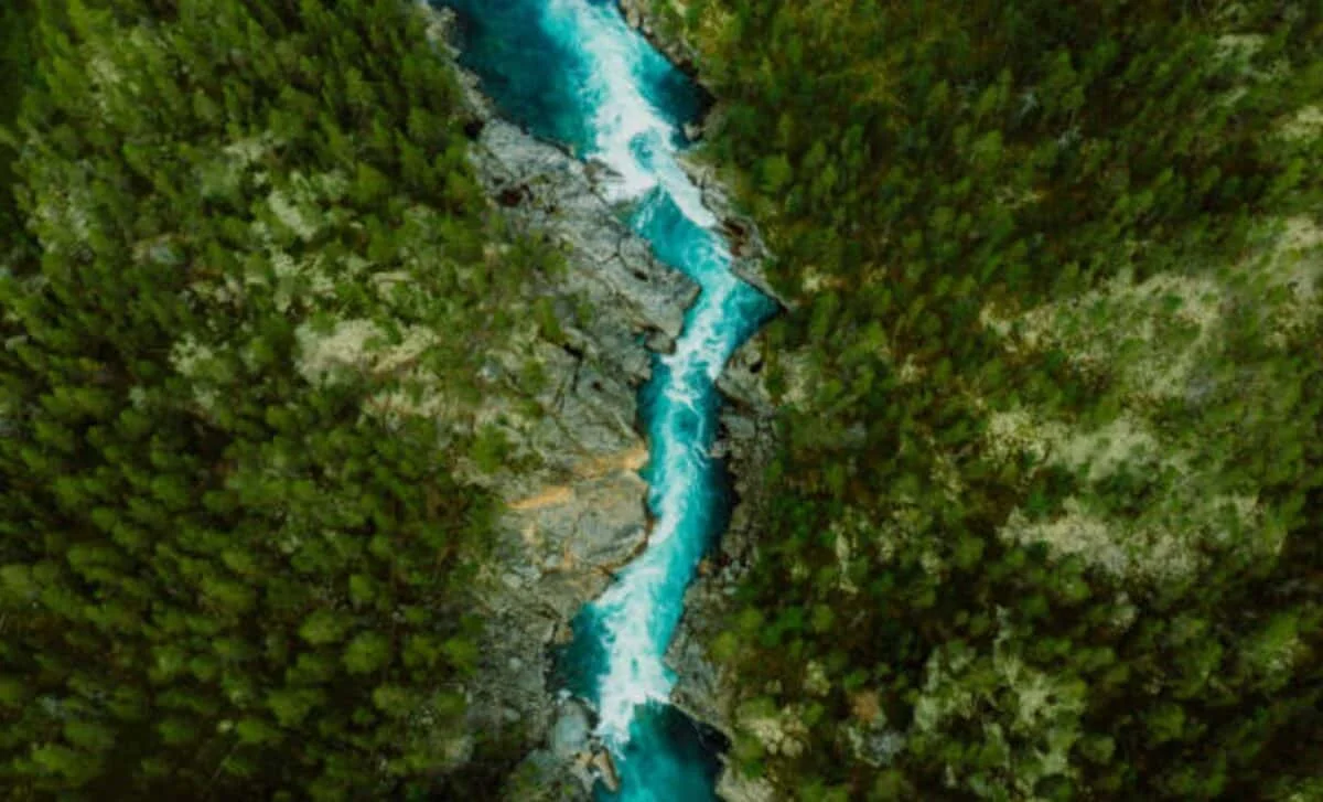 Finke River: Earth's oldest known river still carving its path