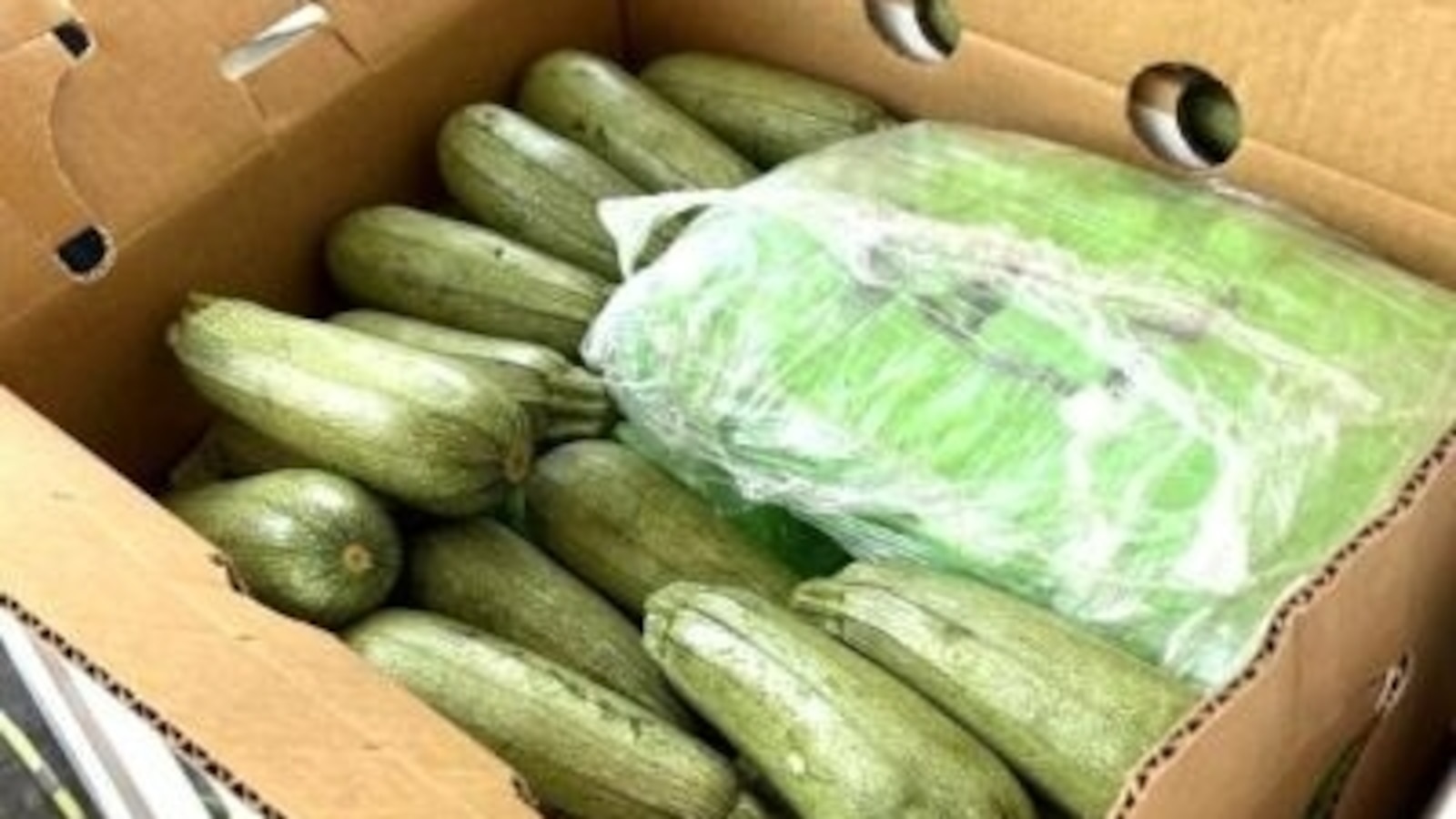 Featured image for $18M Meth Bust in Squash Shipment at US-Mexico Border