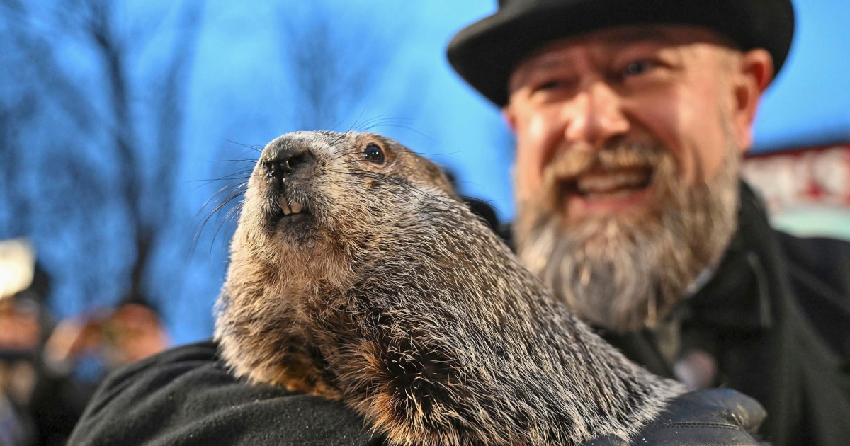 Featured image for "Punxsutawney Phil's 2024 Prediction: Early Spring or Extended Winter?"