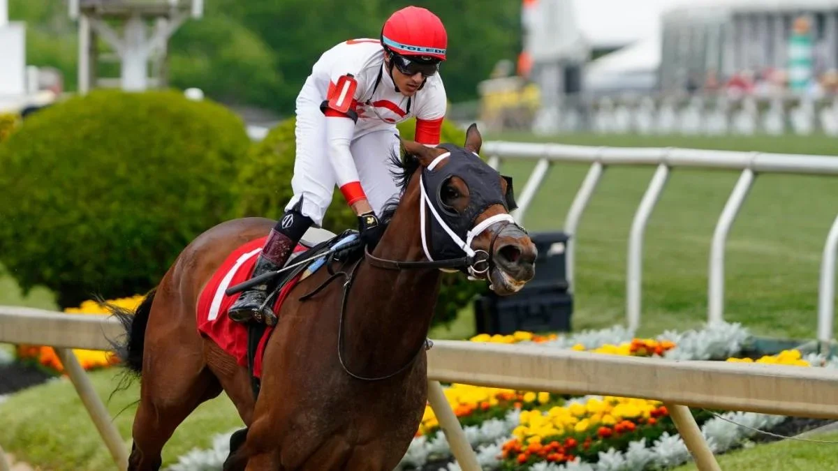 Expert Picks and Betting Preview for 2023 Preakness Stakes