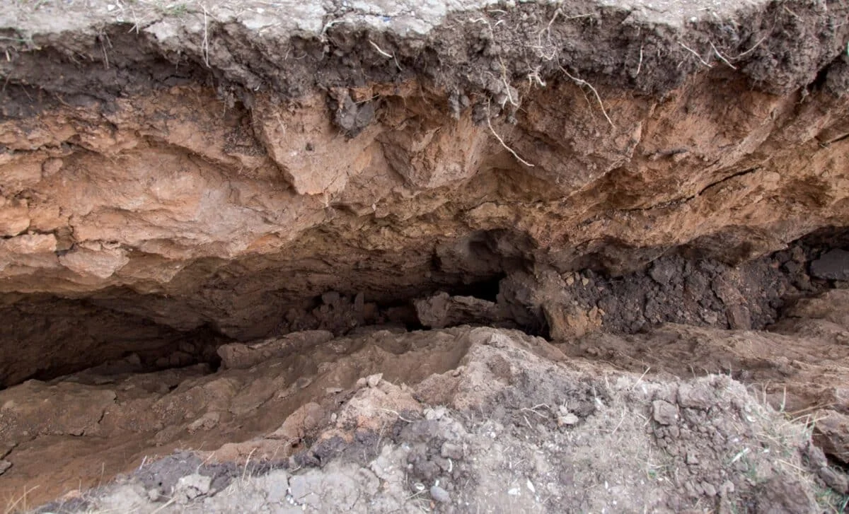 Tiny Clay Layer Guided the 2011 Tōhoku Rupture Toward the Seafloor