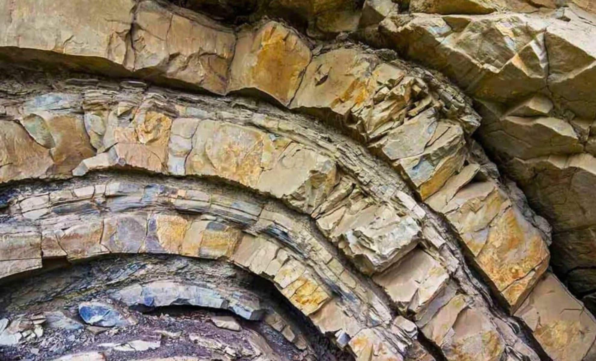 Featured image for Scientists Uncover Ancient Tunnels Hosting Unknown Lifeforms