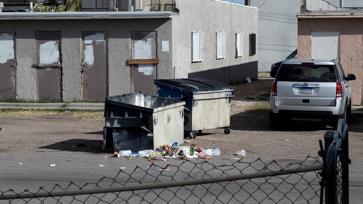 Tragic Beating Death of Vegas Teen: Bail Requests and Self-Defense Claims
