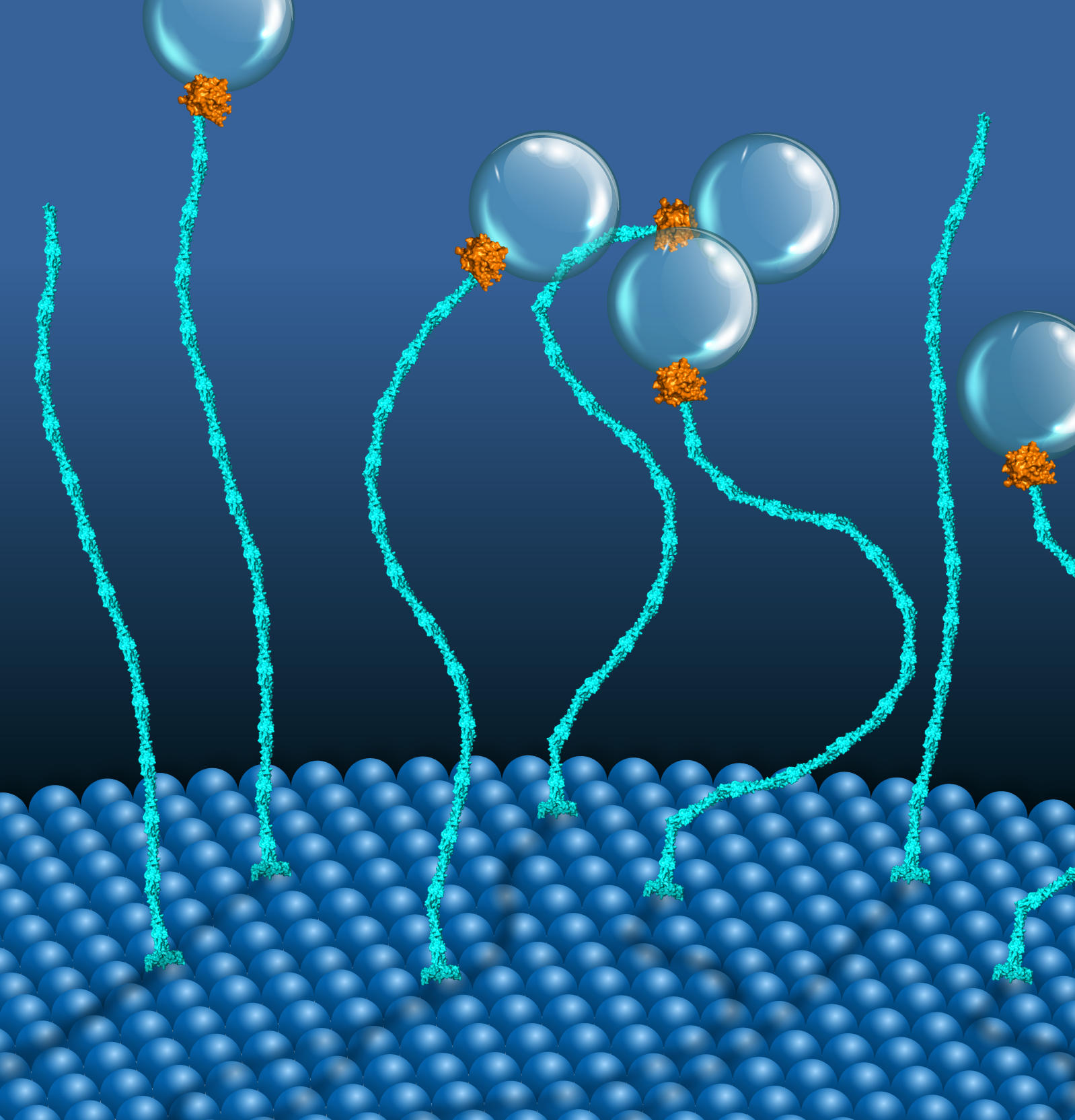 Featured image for New Class of Molecular Motors Discovered by Scientists