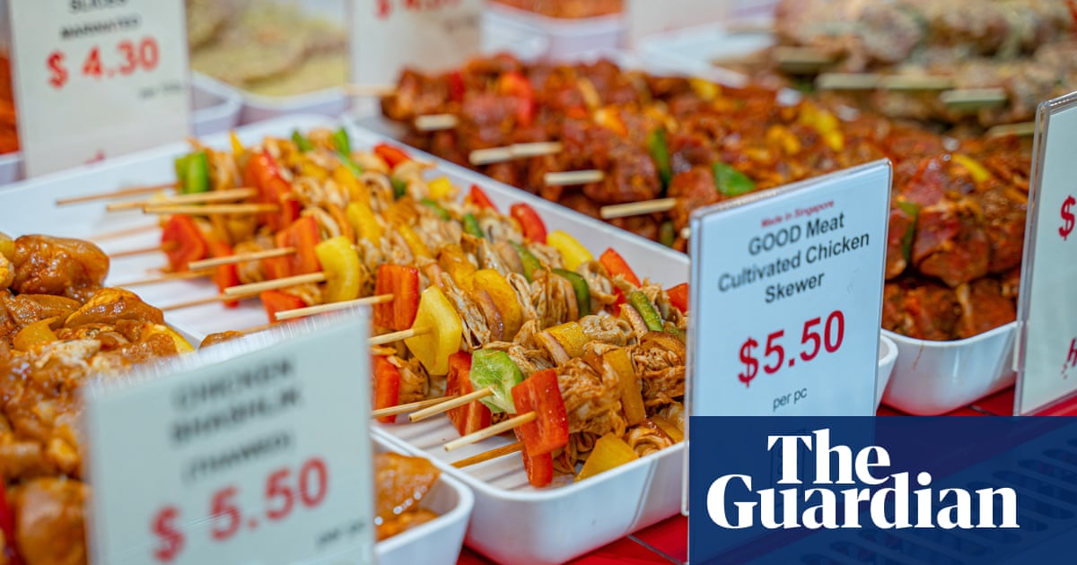 Criticism over Italy's proposed ban on lab-grown food