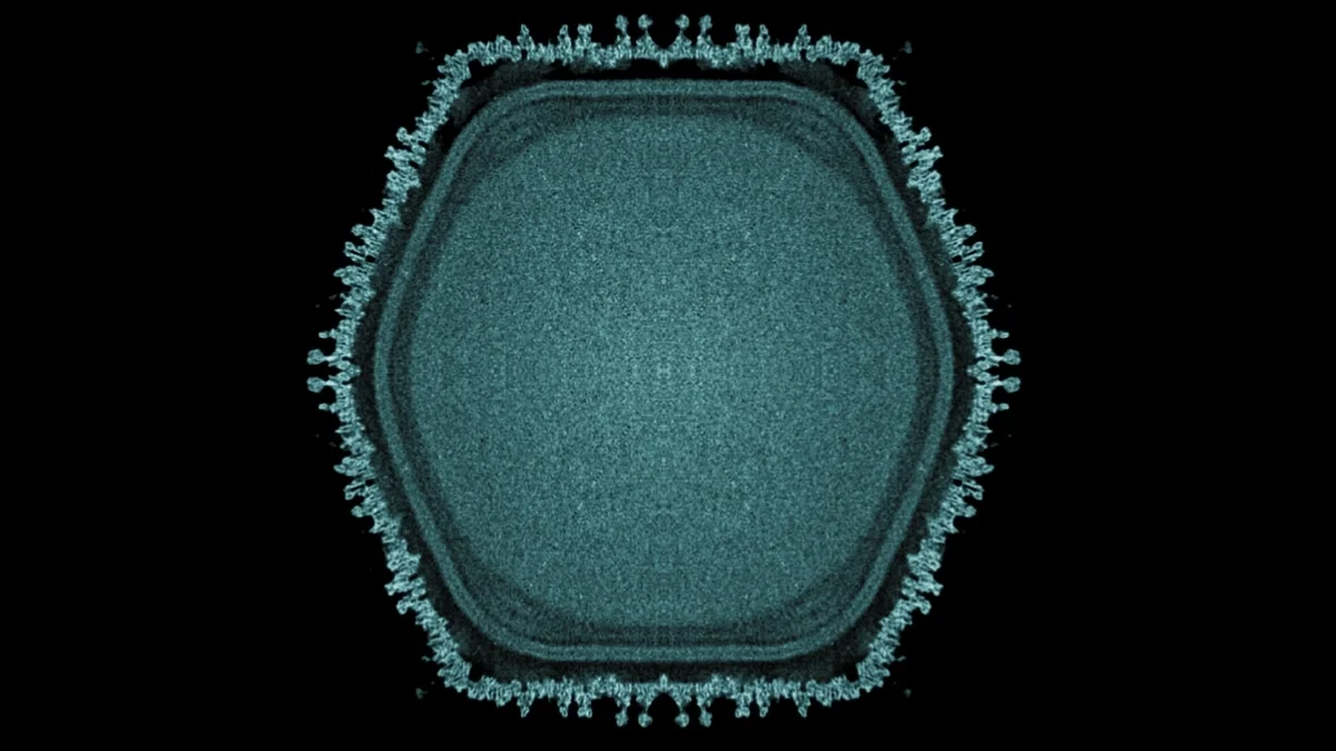Japan’s Ushikuvirus: A Giant Virus That Echoes the Virus-to-Nucleus Origin Theory