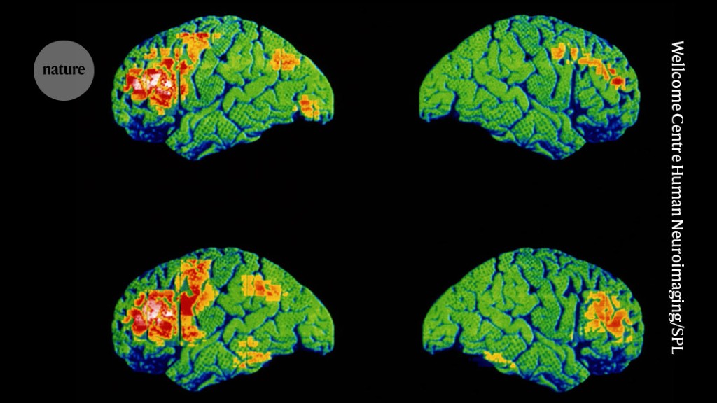 "Challenges in AI-Driven Patient Assessment and Personalized Medicine Predictions"
