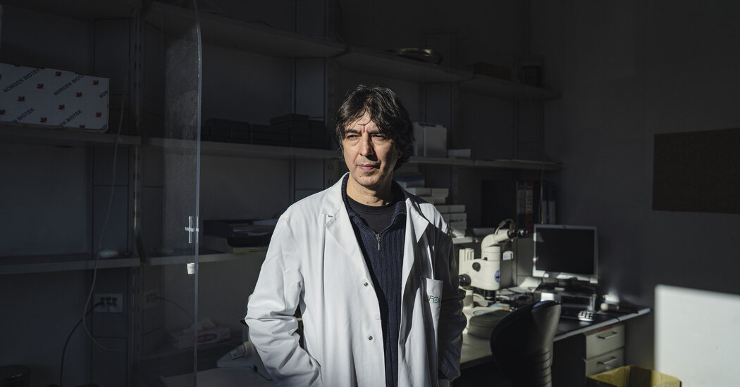 "Longevity Secrets: The Italian Approach to Aging Gracefully"
