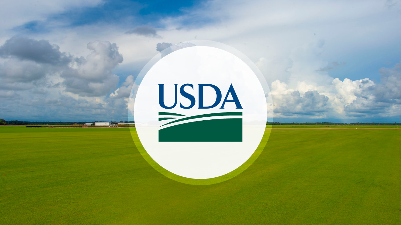 Featured image for USDA Reveals Aid Details for Farmers Under Bridge Assistance Program