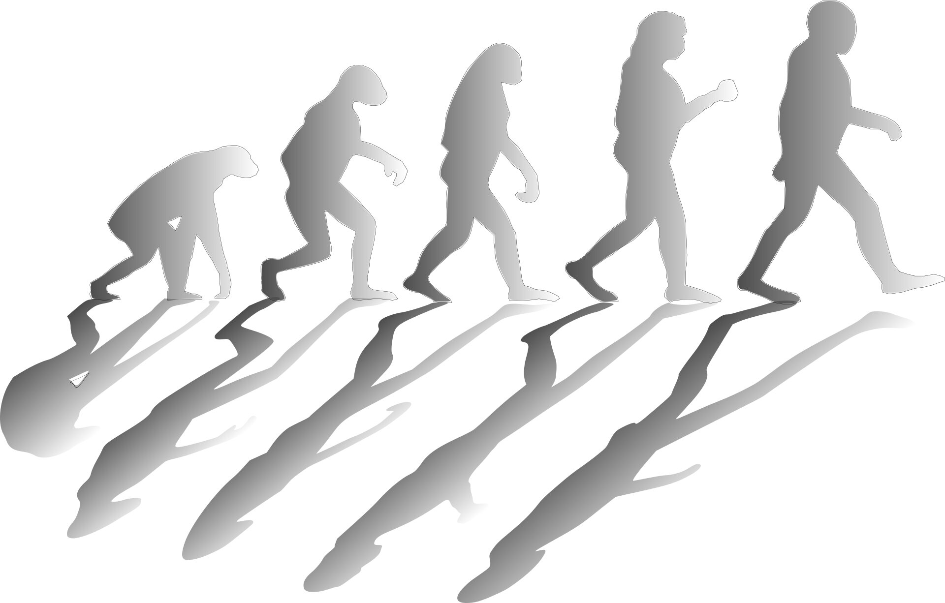 Featured image for Culture Now Outpaces Genetics in Human Evolution, Experts Say