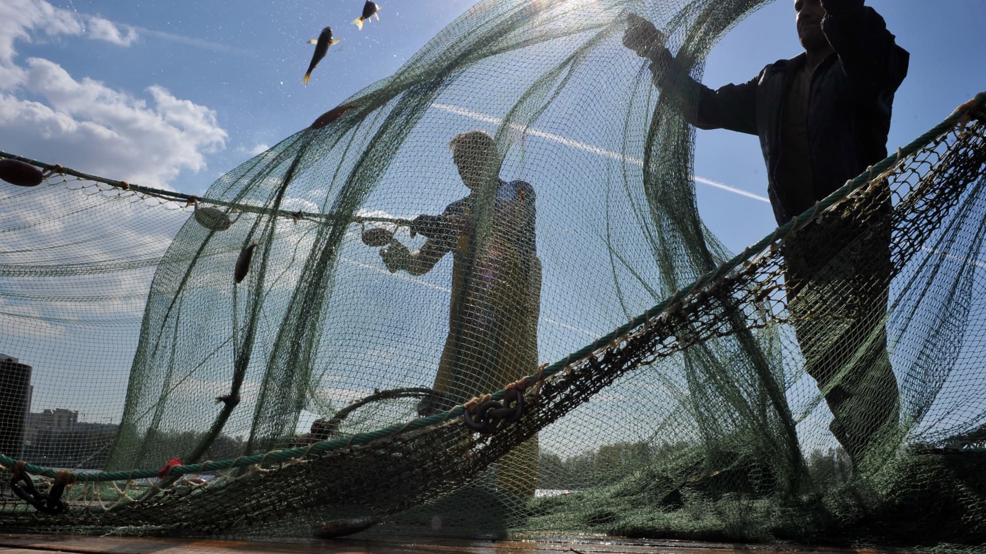 Russia's Plan to Boost Fish and Seafood Exports to China Amid Japan's Ban