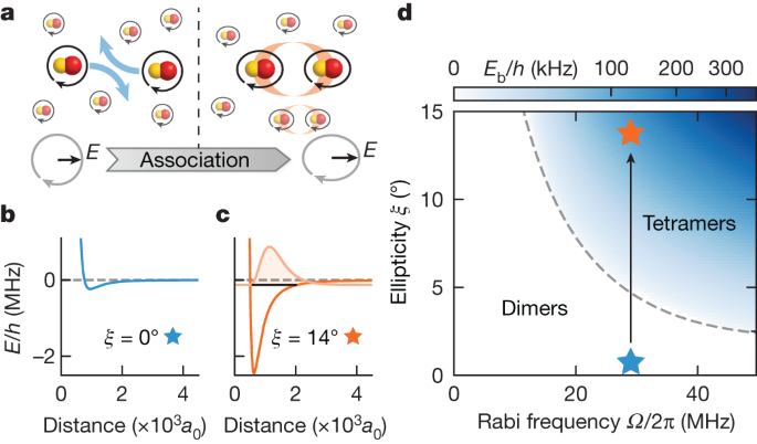 Featured image for "Formation of Ultracold Field-Linked Tetratomic Molecules"